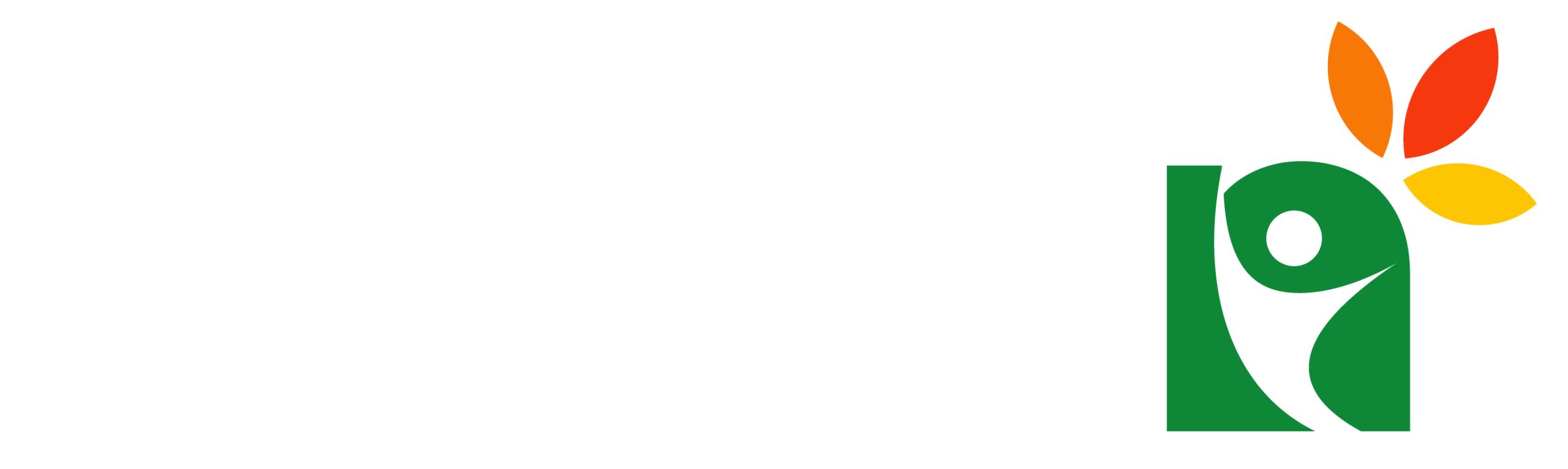 شركة عالم الصحة المثالية لاستيراد المكملات والأغذية الرياضية